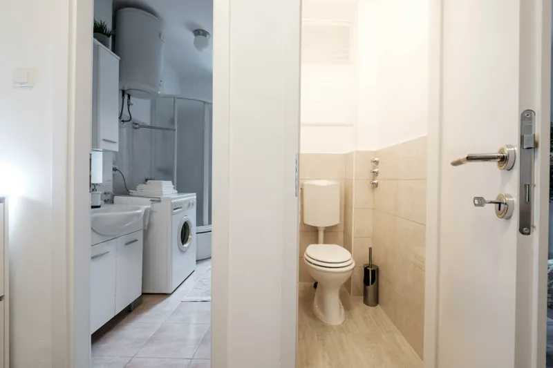 Bathroom and separate toilet